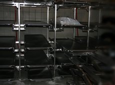 Rega³y z tacami do zw³ok komory ch³odniczej murowanej